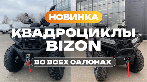 Bizon в Radar Extreme